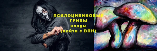 гашик Куйбышев