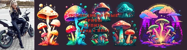 стафф Кулебаки