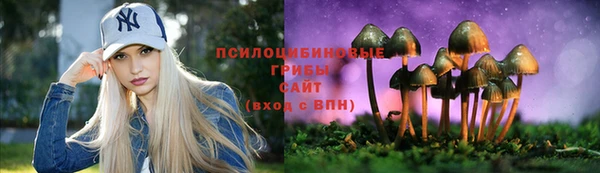 гашик Куйбышев