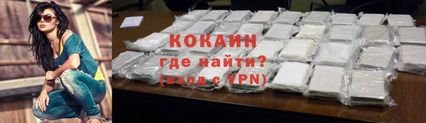гашик Куйбышев