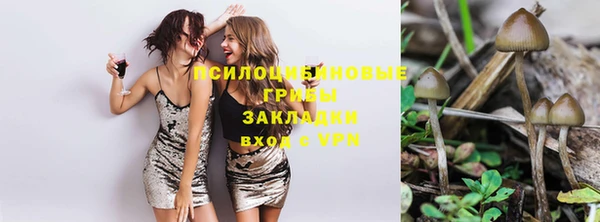 гашик Куйбышев