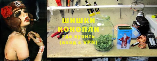 стафф Кулебаки
